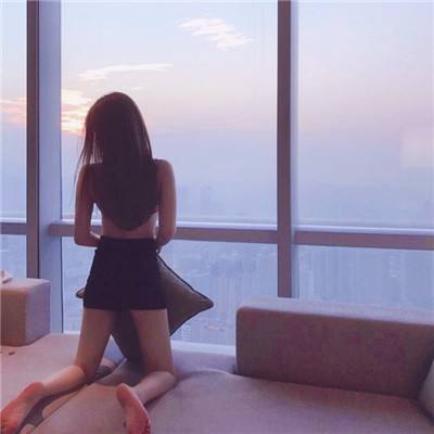 晴天小狗官方版下载安装